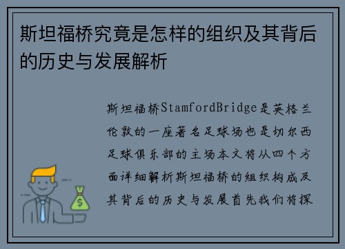 斯坦福桥究竟是怎样的组织及其背后的历史与发展解析